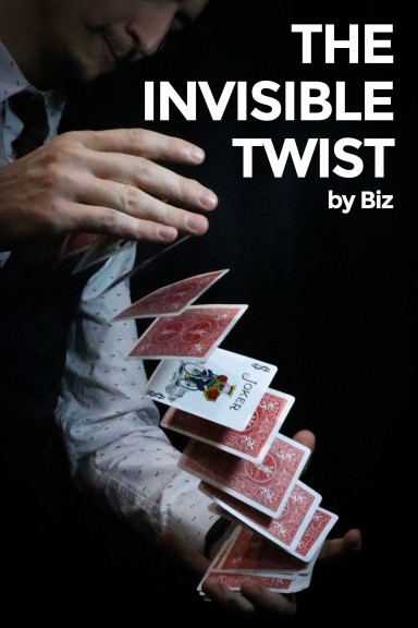 Invisible Twist
